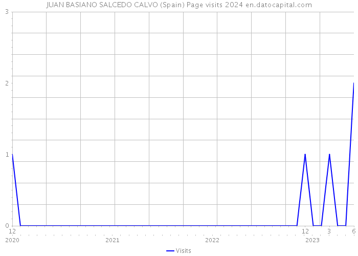 JUAN BASIANO SALCEDO CALVO (Spain) Page visits 2024 