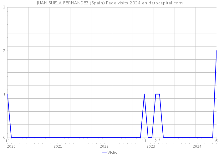 JUAN BUELA FERNANDEZ (Spain) Page visits 2024 