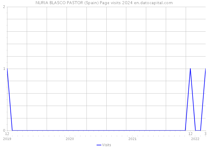NURIA BLASCO PASTOR (Spain) Page visits 2024 