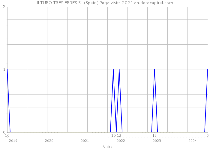 ILTURO TRES ERRES SL (Spain) Page visits 2024 