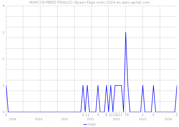 MARCOS PEREZ FIDALGO (Spain) Page visits 2024 
