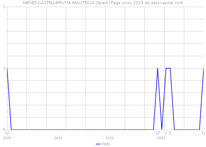 NIEVES GASTELURRUTIA MAIZTEGUI (Spain) Page visits 2024 