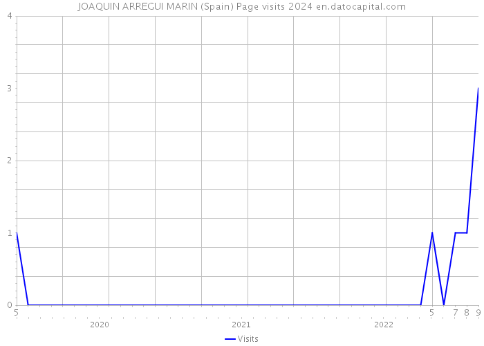 JOAQUIN ARREGUI MARIN (Spain) Page visits 2024 