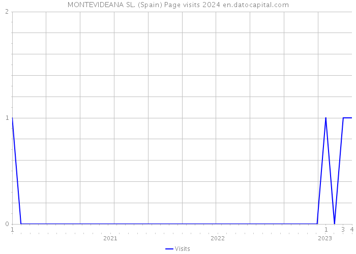 MONTEVIDEANA SL. (Spain) Page visits 2024 