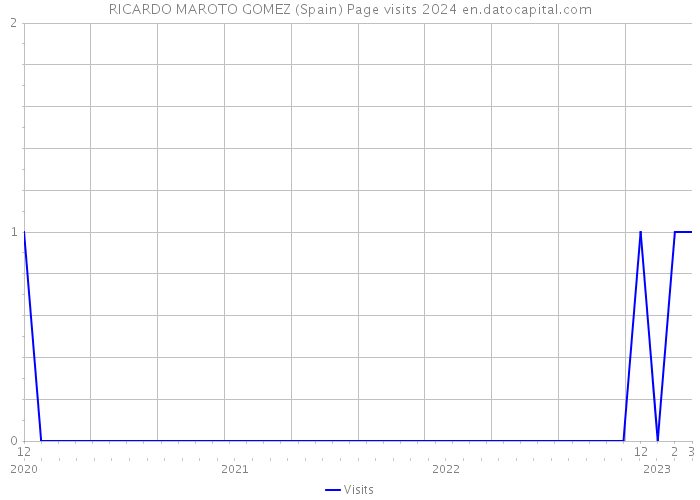 RICARDO MAROTO GOMEZ (Spain) Page visits 2024 