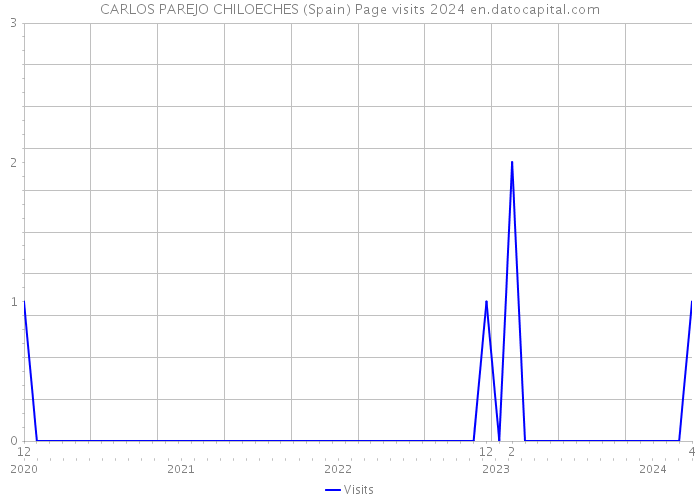 CARLOS PAREJO CHILOECHES (Spain) Page visits 2024 