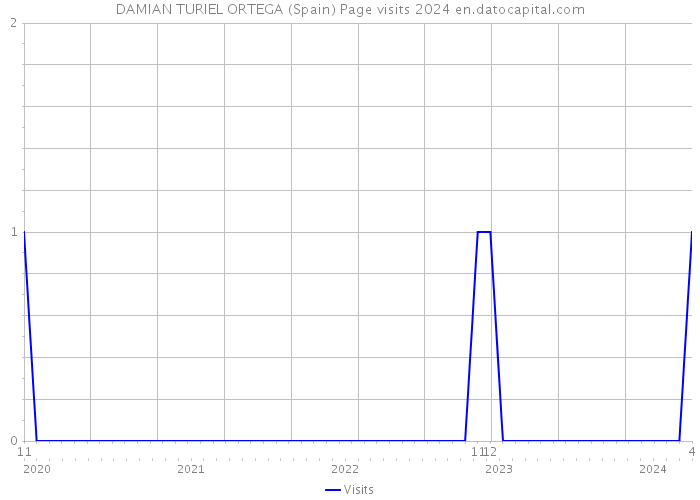 DAMIAN TURIEL ORTEGA (Spain) Page visits 2024 