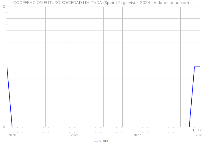 COOPERACION FUTURO SOCIEDAD LIMITADA (Spain) Page visits 2024 