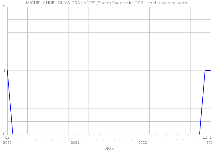 MIGUEL ANGEL OLIVA GRANADOS (Spain) Page visits 2024 