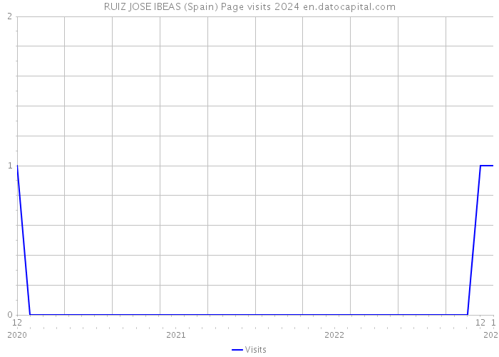 RUIZ JOSE IBEAS (Spain) Page visits 2024 