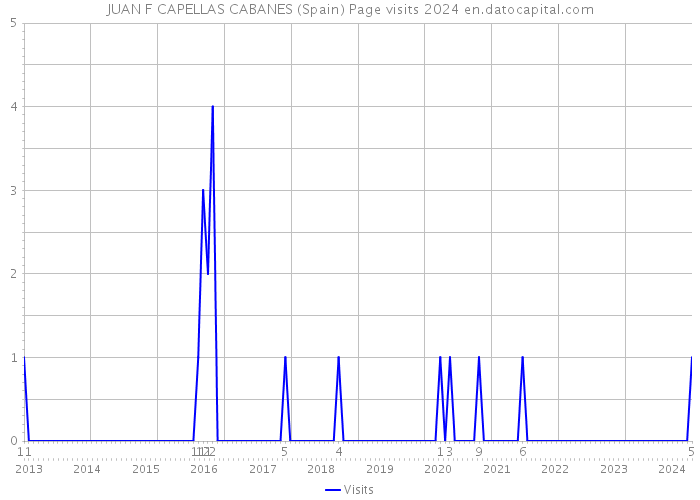 JUAN F CAPELLAS CABANES (Spain) Page visits 2024 