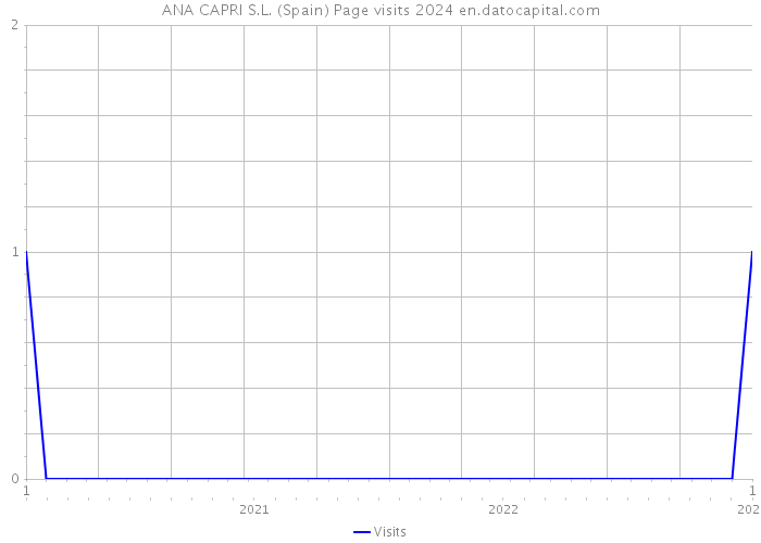 ANA CAPRI S.L. (Spain) Page visits 2024 