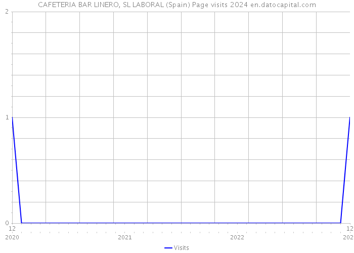 CAFETERIA BAR LINERO, SL LABORAL (Spain) Page visits 2024 