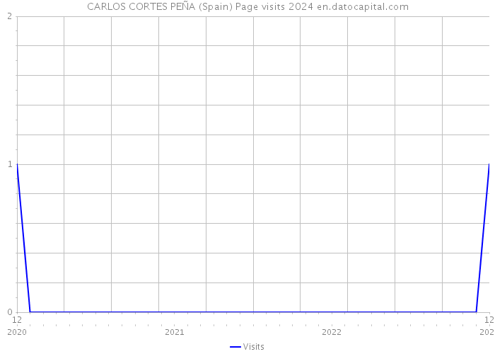 CARLOS CORTES PEÑA (Spain) Page visits 2024 