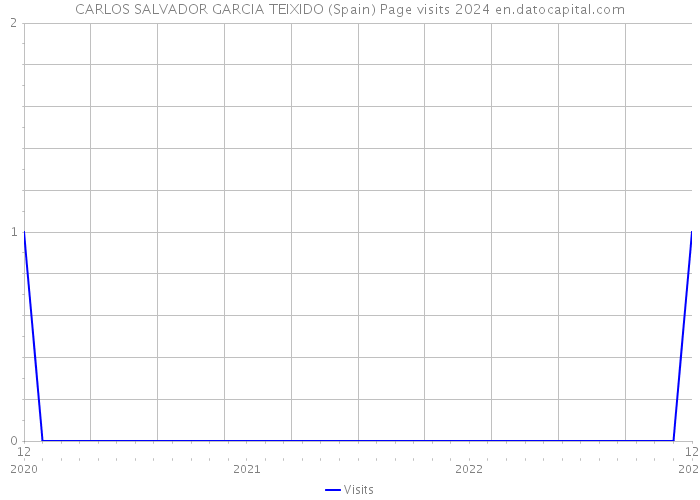 CARLOS SALVADOR GARCIA TEIXIDO (Spain) Page visits 2024 