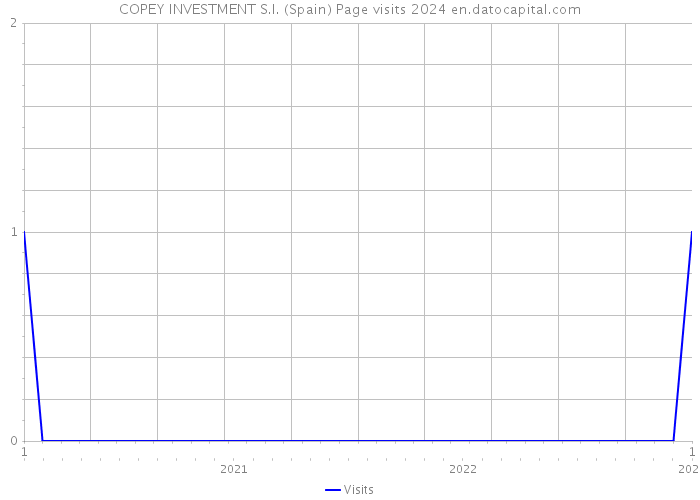 COPEY INVESTMENT S.I. (Spain) Page visits 2024 