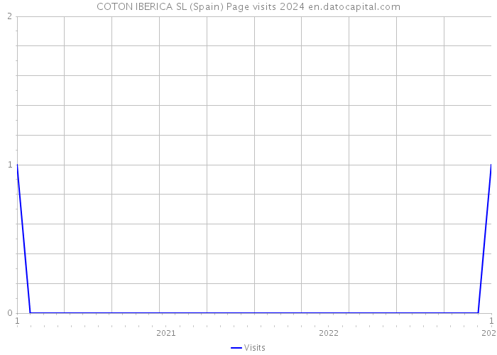 COTON IBERICA SL (Spain) Page visits 2024 