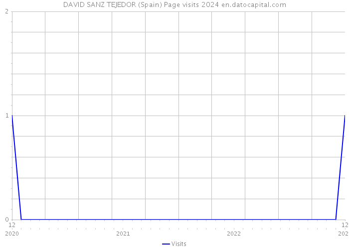 DAVID SANZ TEJEDOR (Spain) Page visits 2024 