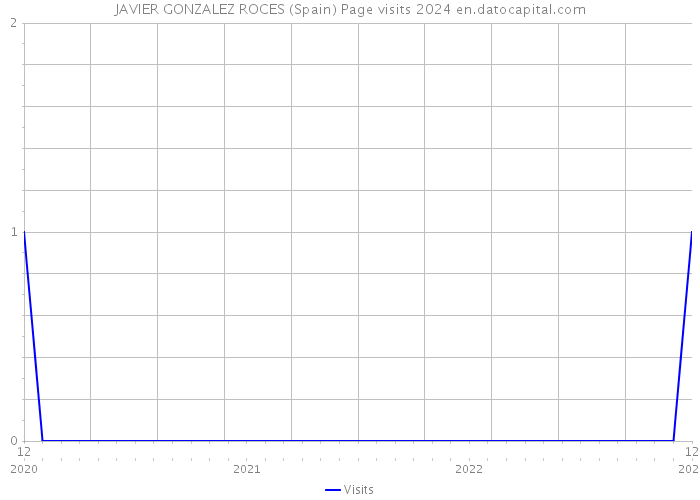 JAVIER GONZALEZ ROCES (Spain) Page visits 2024 
