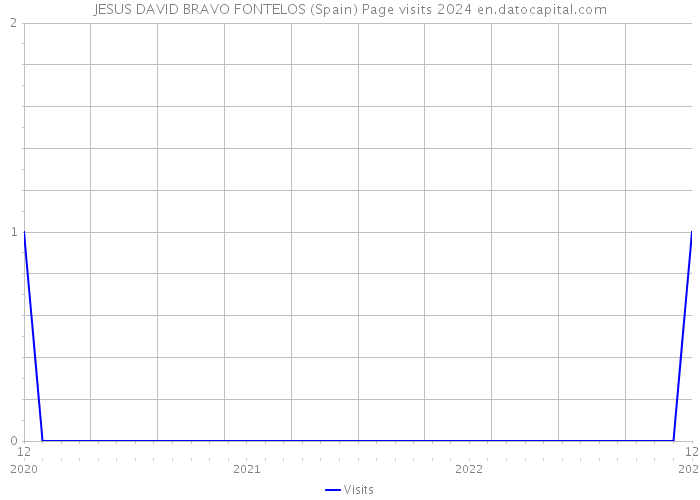 JESUS DAVID BRAVO FONTELOS (Spain) Page visits 2024 