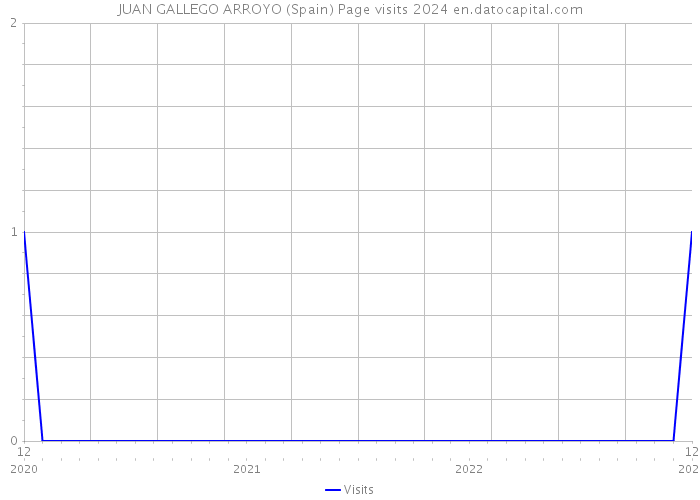 JUAN GALLEGO ARROYO (Spain) Page visits 2024 