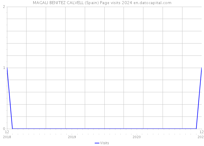 MAGALI BENITEZ CALVELL (Spain) Page visits 2024 