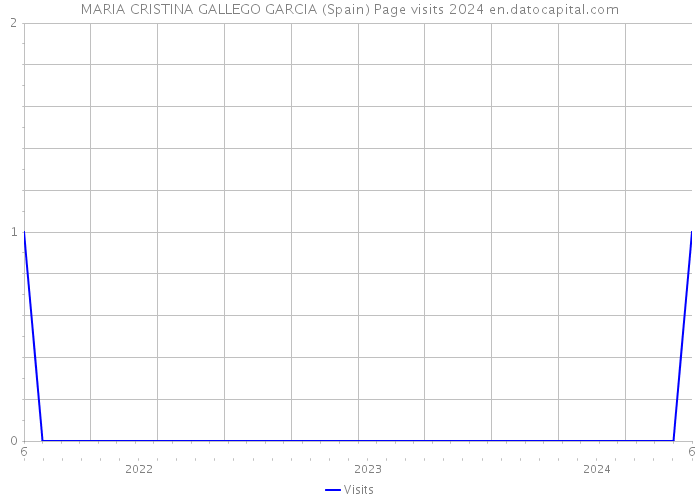 MARIA CRISTINA GALLEGO GARCIA (Spain) Page visits 2024 