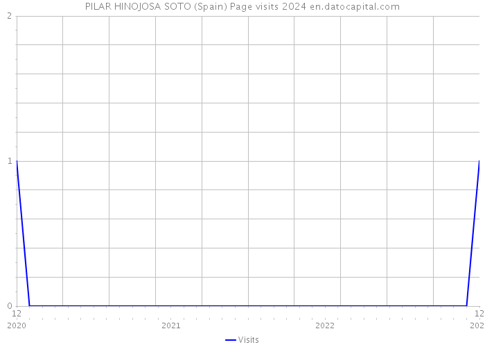 PILAR HINOJOSA SOTO (Spain) Page visits 2024 