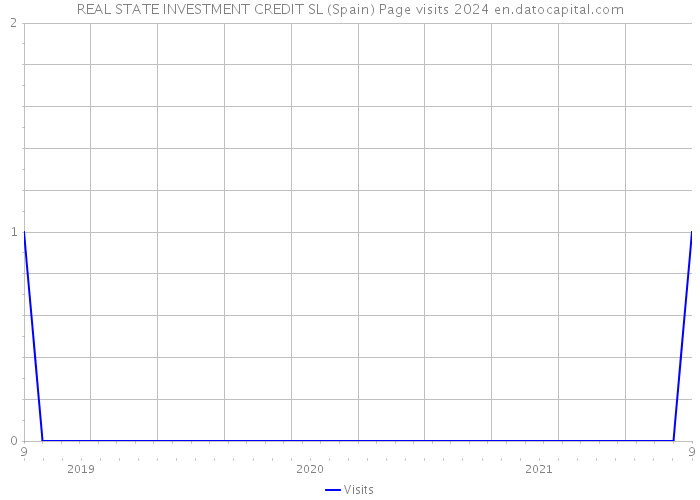 REAL STATE INVESTMENT CREDIT SL (Spain) Page visits 2024 