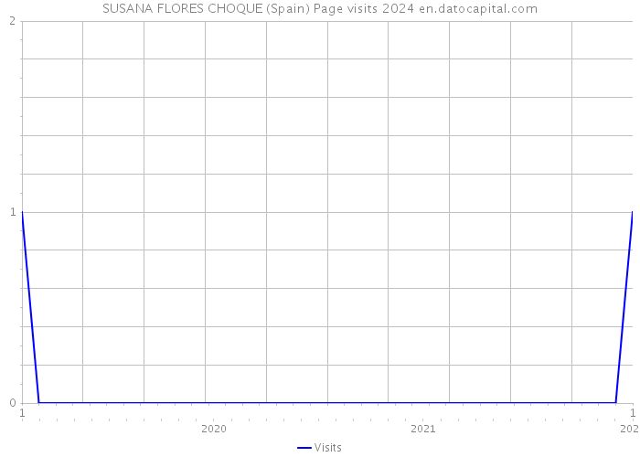 SUSANA FLORES CHOQUE (Spain) Page visits 2024 