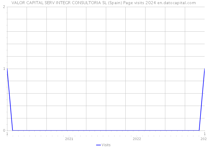 VALOR CAPITAL SERV INTEGR CONSULTORIA SL (Spain) Page visits 2024 
