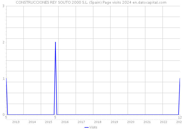 CONSTRUCCIONES REY SOUTO 2000 S.L. (Spain) Page visits 2024 