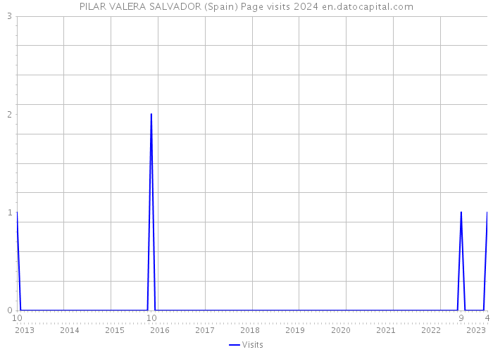 PILAR VALERA SALVADOR (Spain) Page visits 2024 