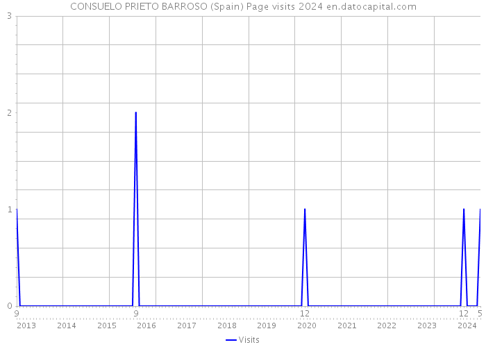 CONSUELO PRIETO BARROSO (Spain) Page visits 2024 