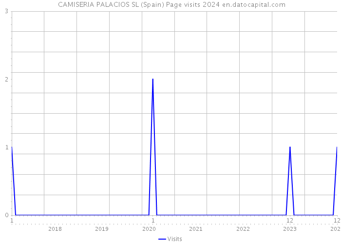 CAMISERIA PALACIOS SL (Spain) Page visits 2024 