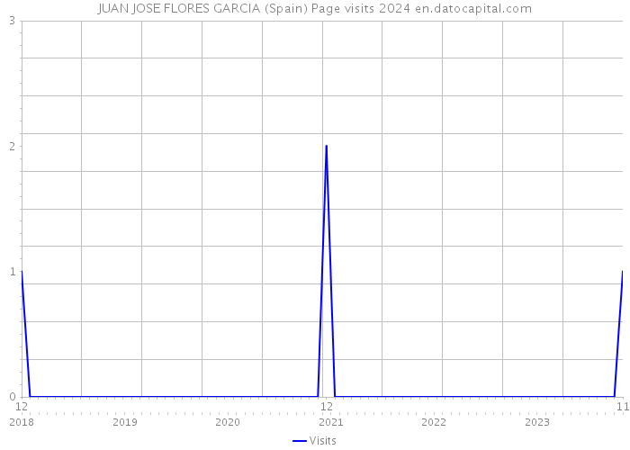JUAN JOSE FLORES GARCIA (Spain) Page visits 2024 