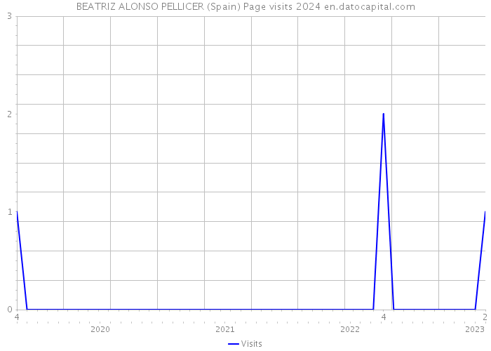 BEATRIZ ALONSO PELLICER (Spain) Page visits 2024 