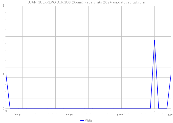 JUAN GUERRERO BURGOS (Spain) Page visits 2024 