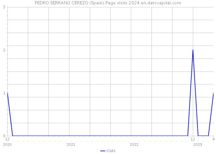 PEDRO SERRANO CEREZO (Spain) Page visits 2024 