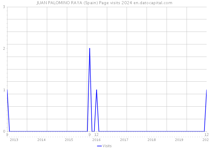 JUAN PALOMINO RAYA (Spain) Page visits 2024 