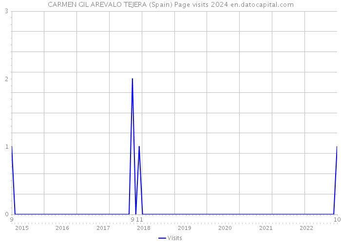 CARMEN GIL AREVALO TEJERA (Spain) Page visits 2024 