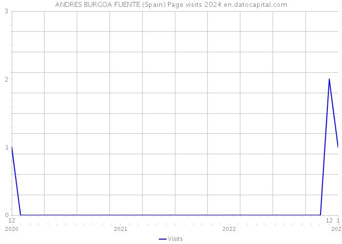 ANDRES BURGOA FUENTE (Spain) Page visits 2024 