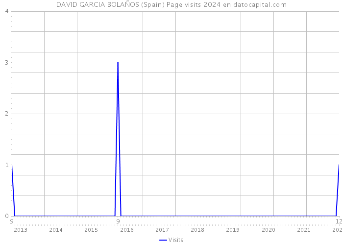 DAVID GARCIA BOLAÑOS (Spain) Page visits 2024 