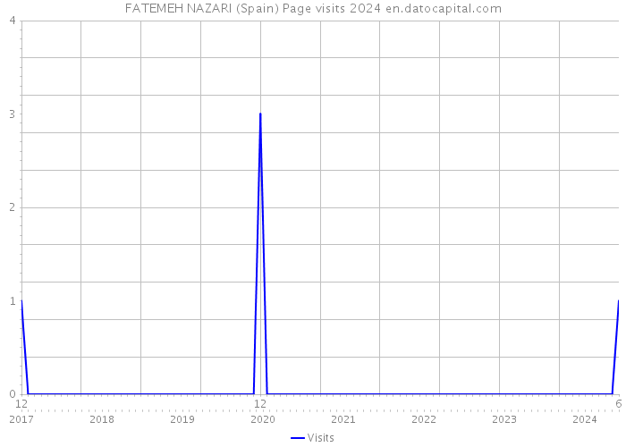 FATEMEH NAZARI (Spain) Page visits 2024 