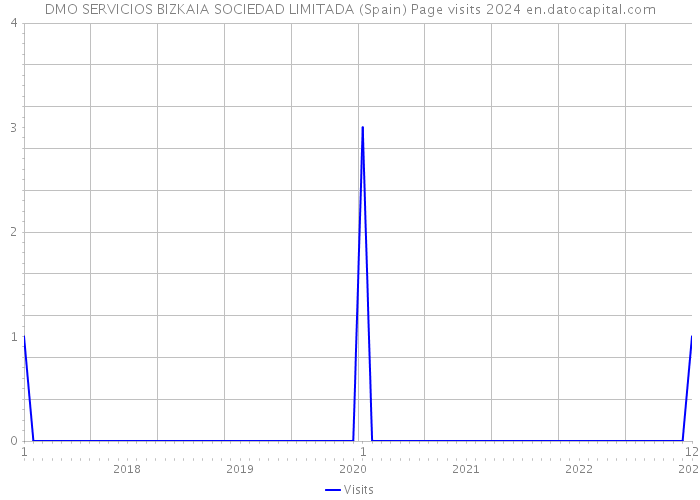 DMO SERVICIOS BIZKAIA SOCIEDAD LIMITADA (Spain) Page visits 2024 
