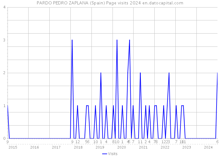 PARDO PEDRO ZAPLANA (Spain) Page visits 2024 
