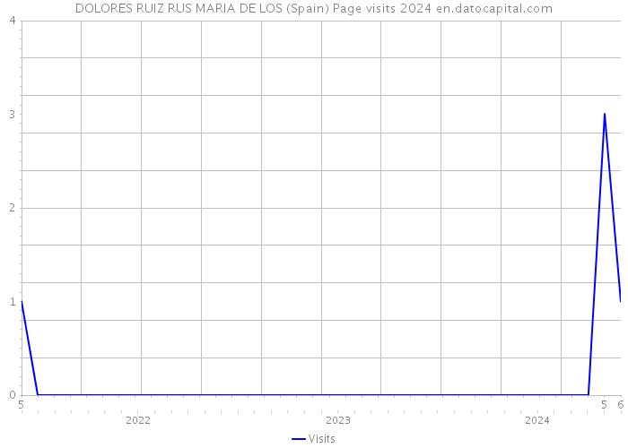 DOLORES RUIZ RUS MARIA DE LOS (Spain) Page visits 2024 