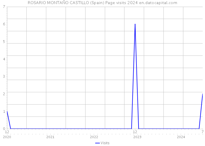 ROSARIO MONTAÑO CASTILLO (Spain) Page visits 2024 