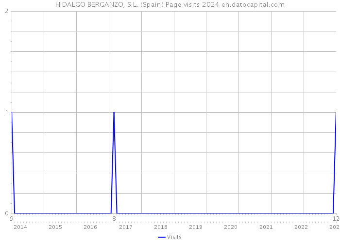 HIDALGO BERGANZO, S.L. (Spain) Page visits 2024 