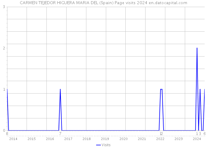 CARMEN TEJEDOR HIGUERA MARIA DEL (Spain) Page visits 2024 